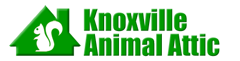 Knoxville Animal Attic